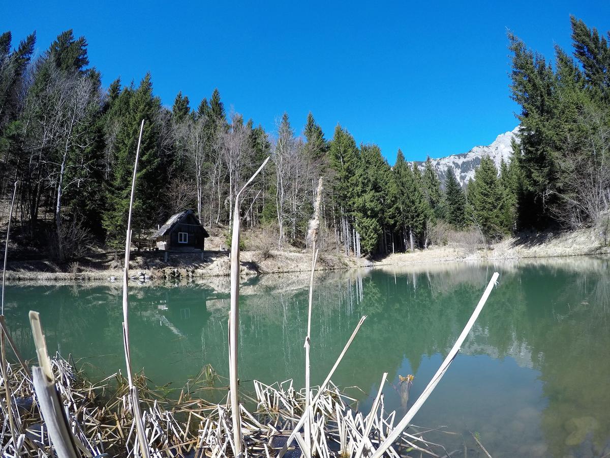 Karami Mountainhouse Bed and Breakfast Tržič Buitenkant foto